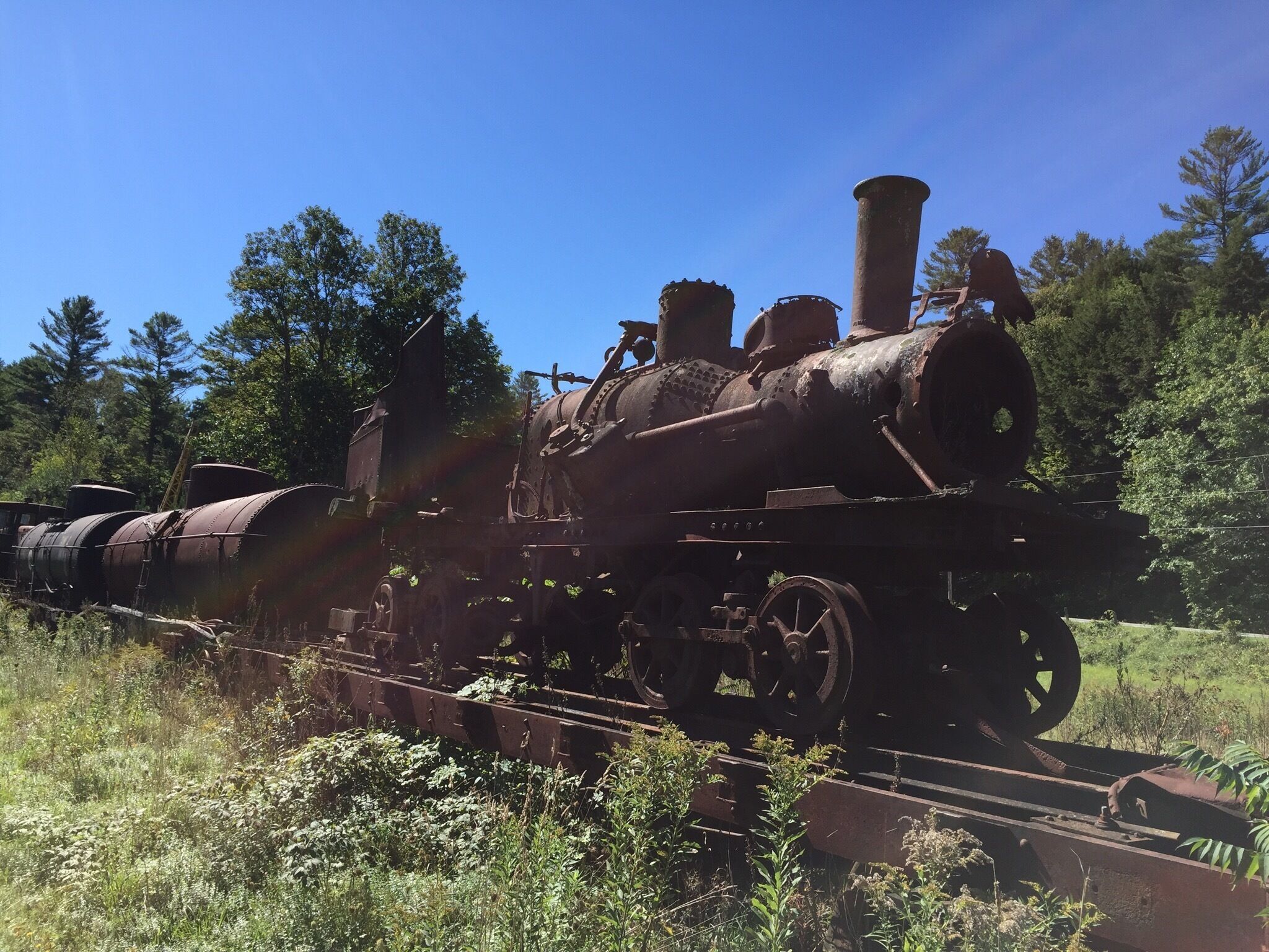Decaying steam engine sitting on a flatbed railroad car. 