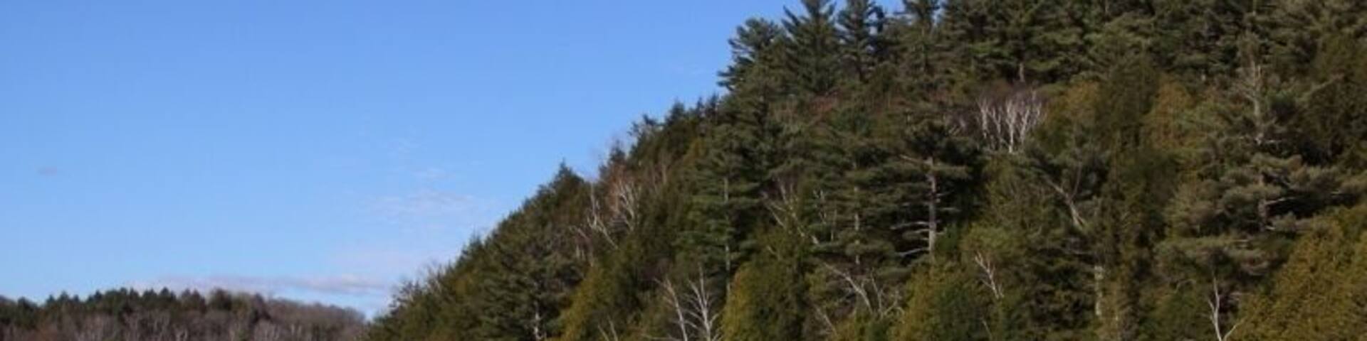 Private pond in Vernont #treetrove