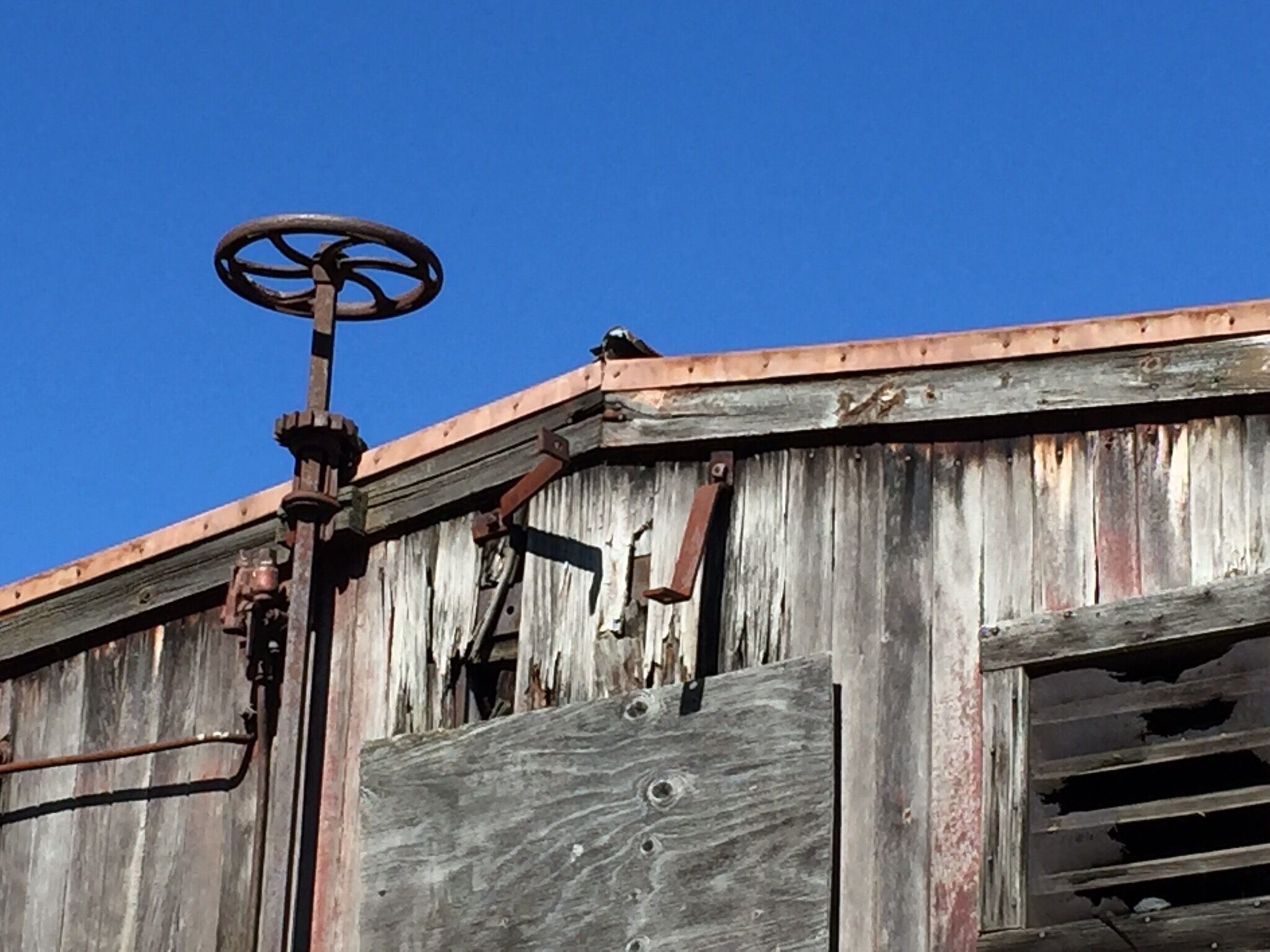 A detail from one of the box cars. Serendipity rules!  We were just driving out along one of VT's Connecticut River Byways, Route 5 when we happened all this old railroad equipment.