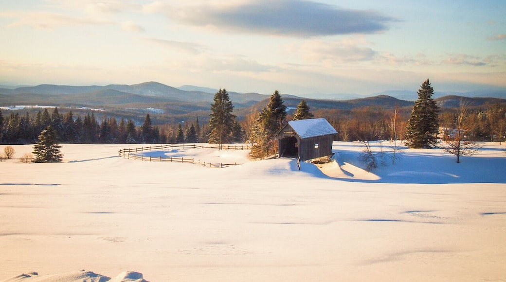 The Foster Covered Bridge in Cabot, Vermont, is arguably one of the most beautiful covered bridges in Vermont. Especially the panoramic views of the Green Mountains in the background is what makes this place so remarkable.
#goldenhour