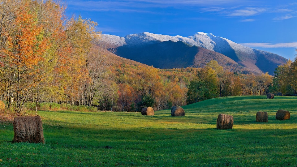 A grassy field with hay bales, autumn-colored trees, and snow-capped mountains in the background.
