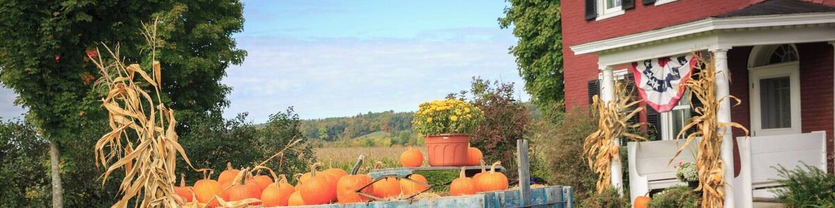 This old wagon is outside the winery. It was October and filled with pumpkins. This looks like a postcard!