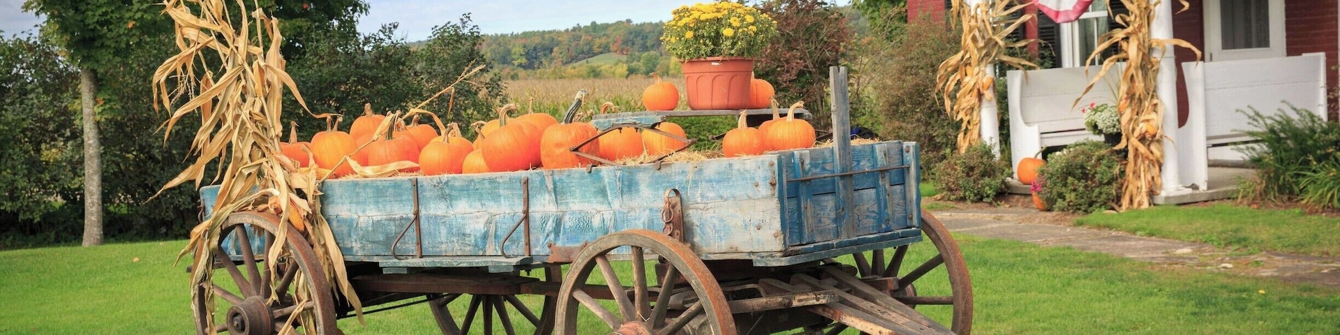 This old wagon is outside the winery. It was October and filled with pumpkins. This looks like a postcard!