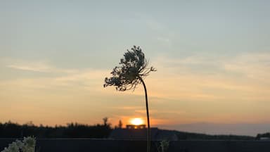 Beautiful Sunset @smugglersnotch VT