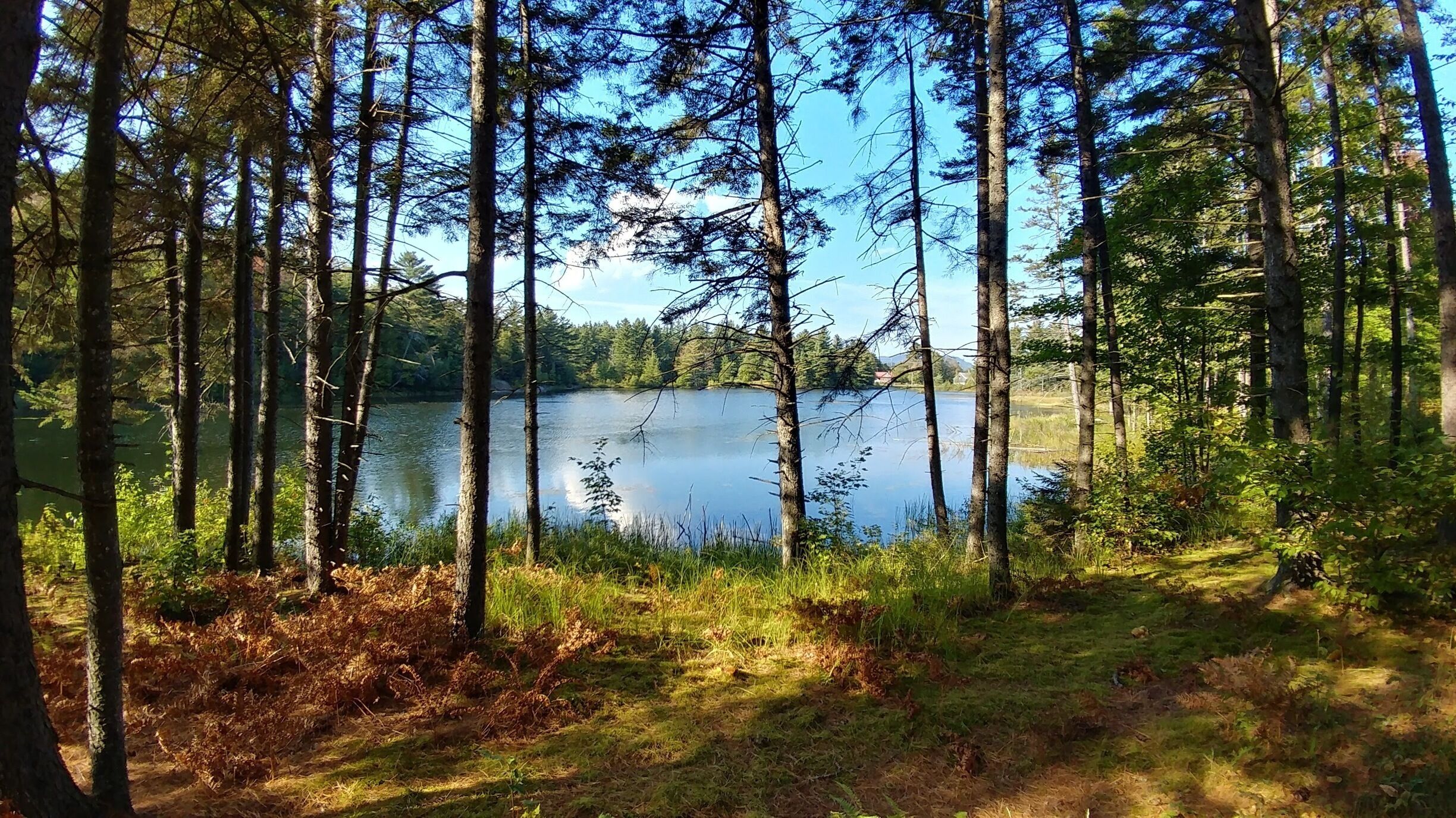 Lake view out of our cabin in the woods