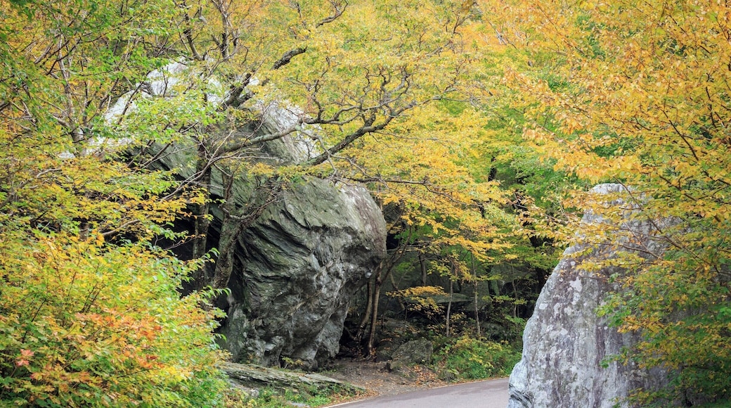 A beautiful fall day in October.