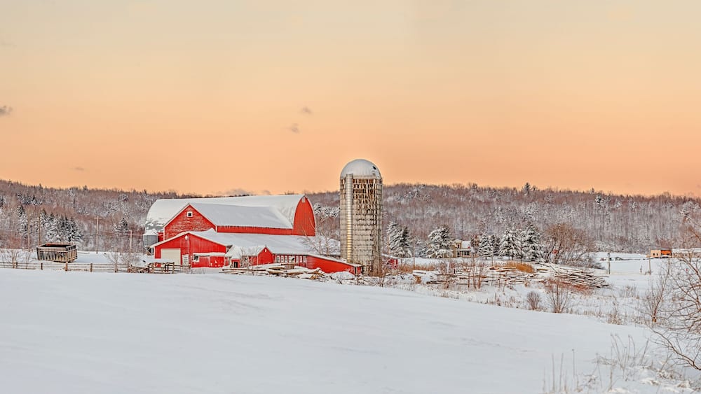 Morning Light Over Barn