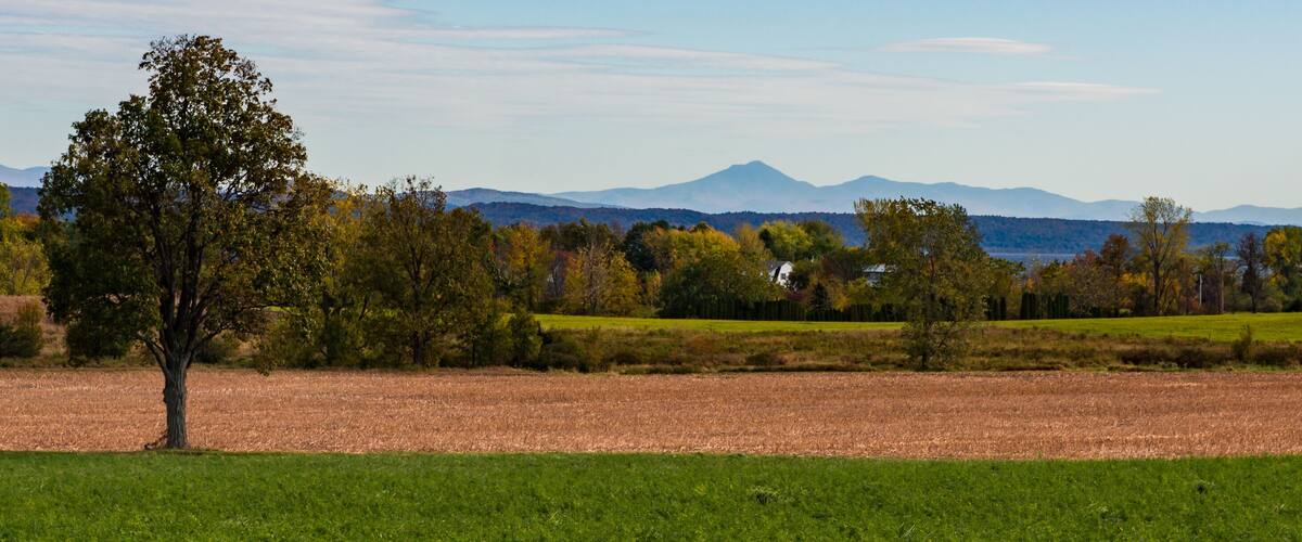 A rural landscape with a field, trees, and distant mountains.