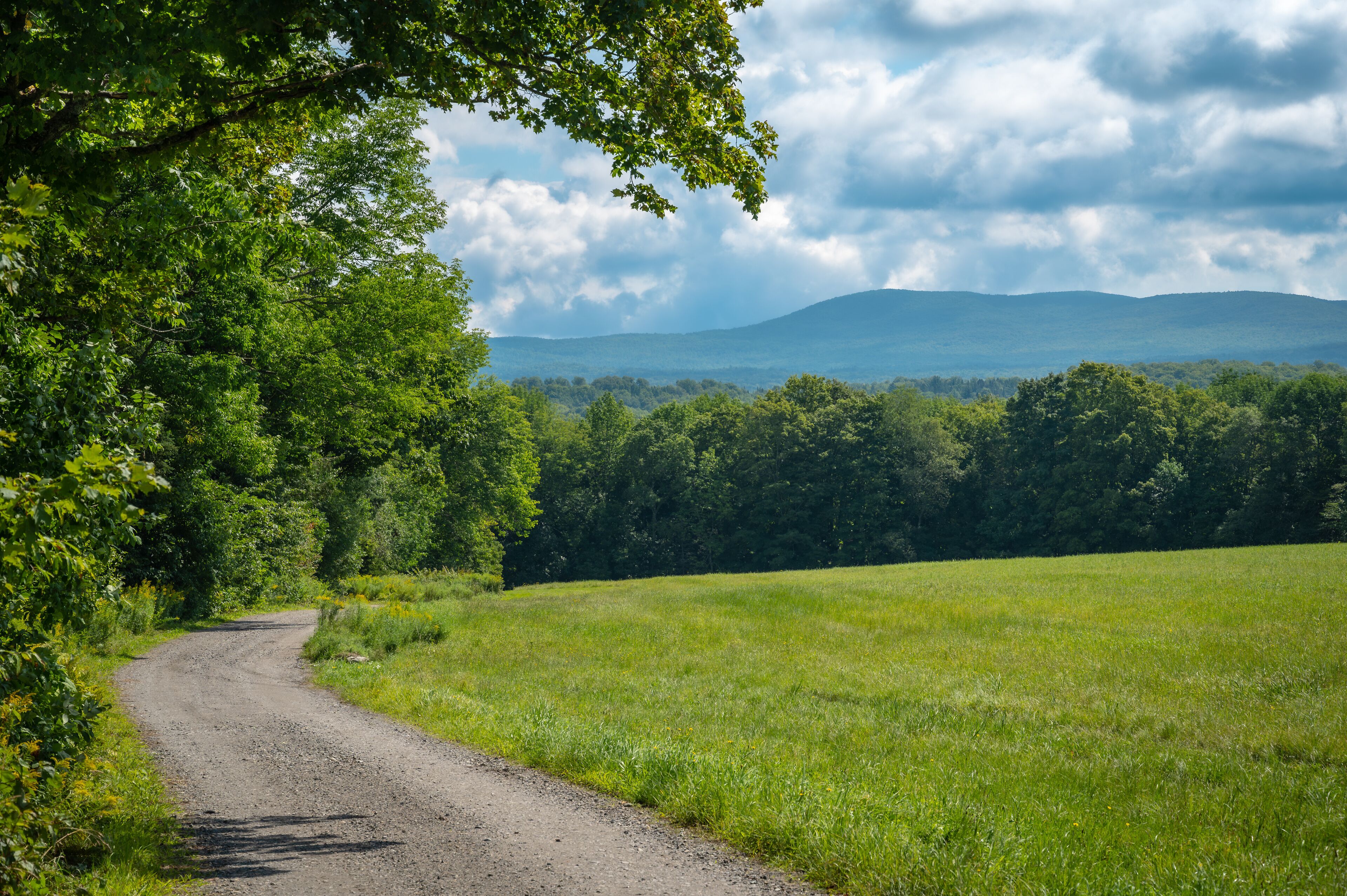 Rural landscape with dirt road, forest and mountain, Greensboro, Vermont, New England, United States. Photo taken in August 2023.