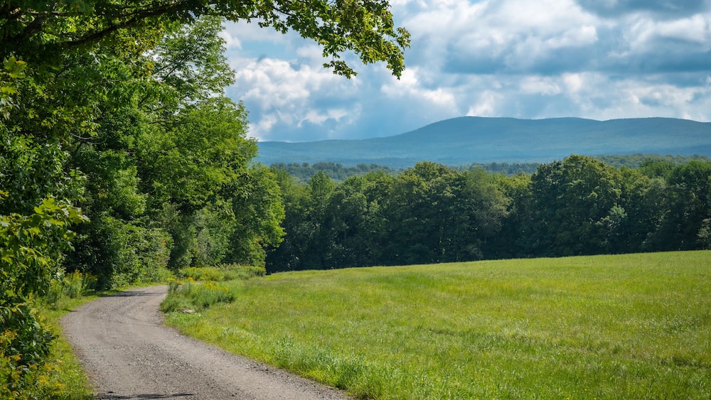 Rural landscape with dirt road, forest and mountain, Greensboro, Vermont, New England, United States. Photo taken in August 2023.