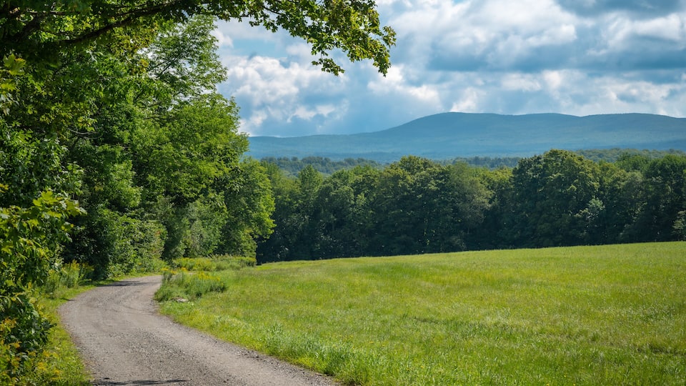 Rural landscape with dirt road, forest and mountain, Greensboro, Vermont, New England, United States. Photo taken in August 2023.
