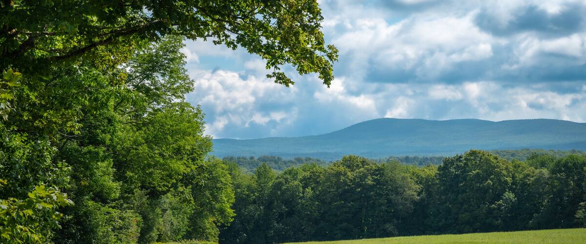 A gravel road winding through a lush green field with dense trees on one side and a mountain range in the distance under a partly cloudy sky.