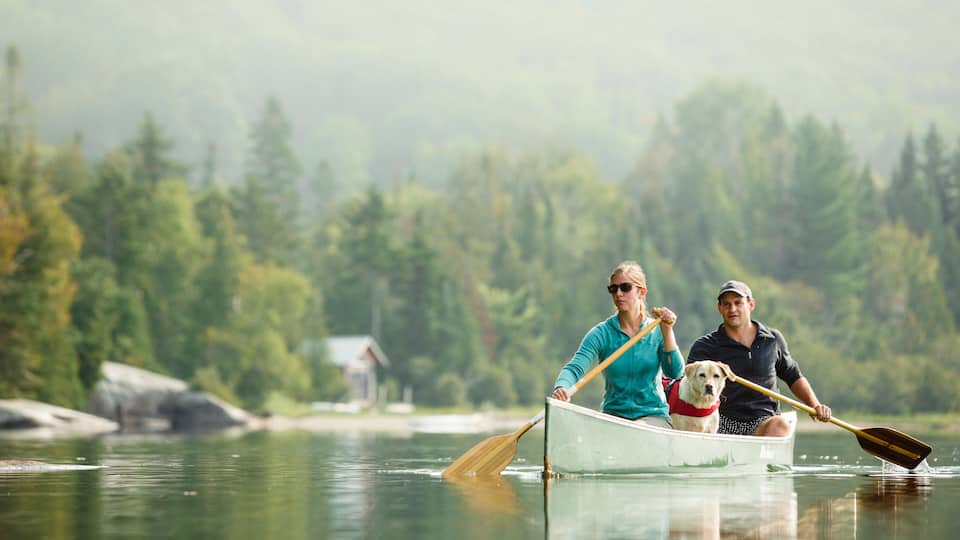 Young couple canoeing with their dog on a lake in summer.