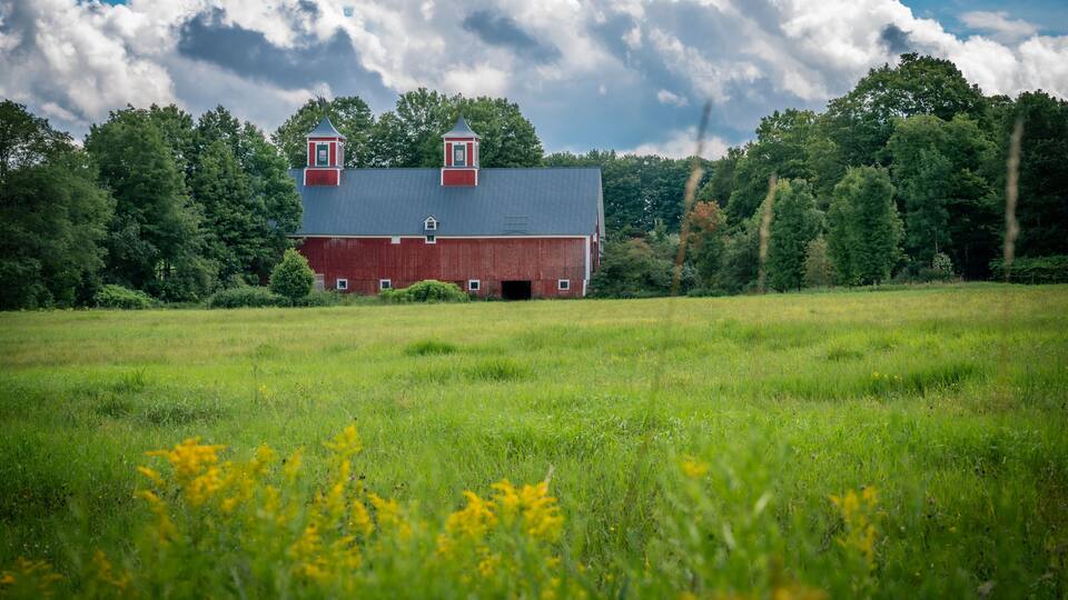 Peaceful scene of a red barn in a field surrounded by trees in Greensboro, Vermont, United States. Photo taken in August 2023.