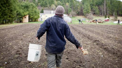 Farmer and bucket in bio dynamic farm field.