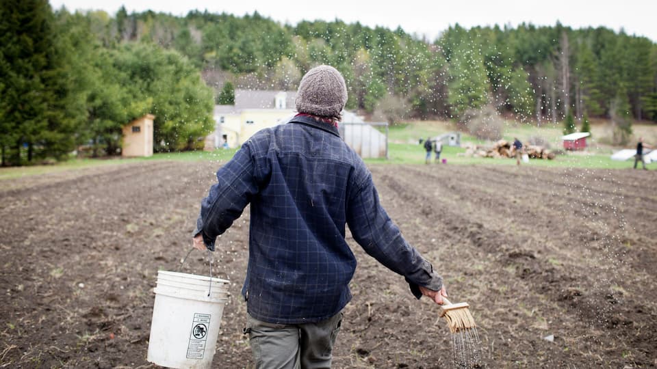 Farmer and bucket in bio dynamic farm field.