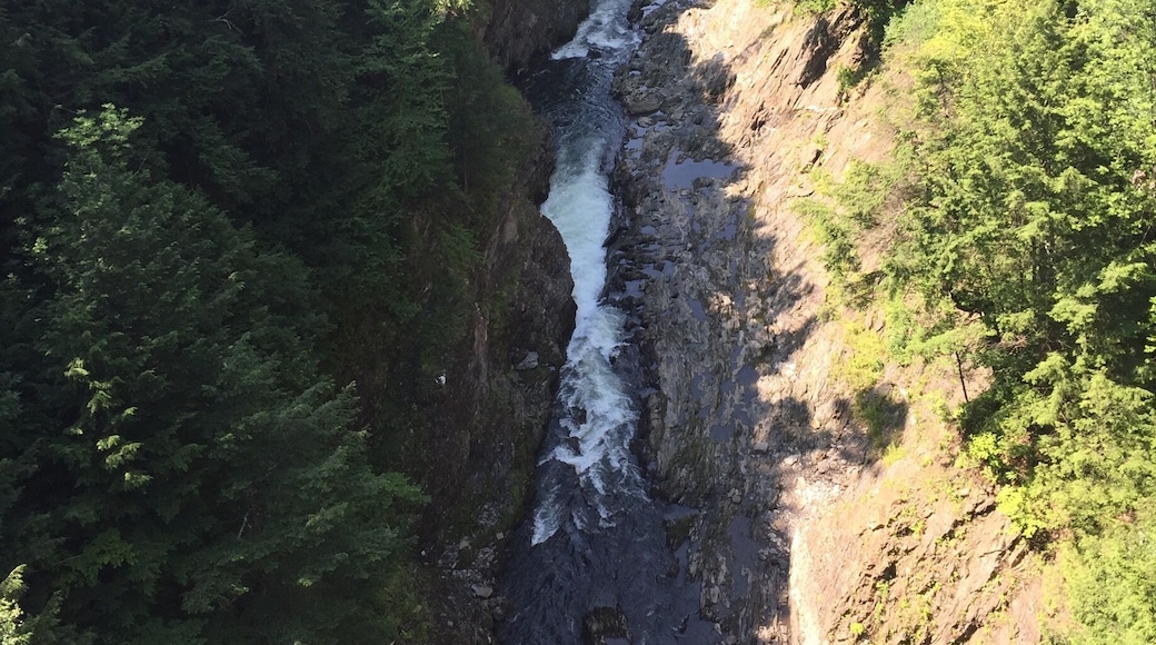 Beautiful and scary at the same time. This place is stuck in time and a must see !!
#waterlust