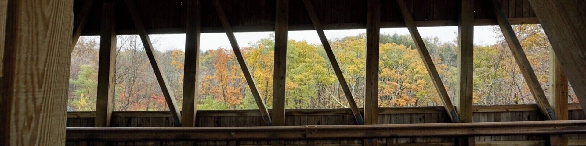 Una estructura de madera cubierta con vista a árboles otoñales.
