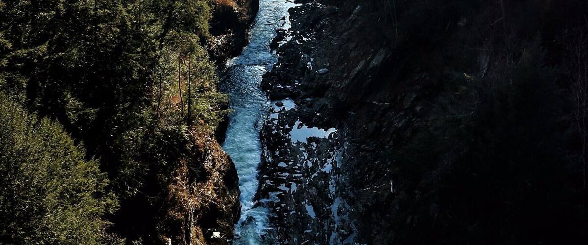A river winding through a dense forest with rocky banks and distant mountains.