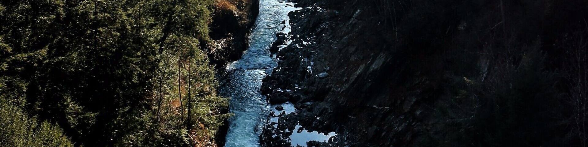 A river winding through a dense forest with rocky banks and distant mountains.