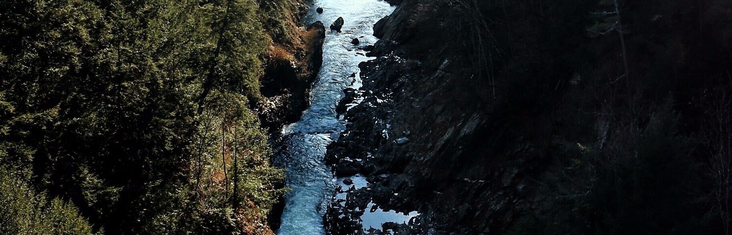Un río serpentea a través de un bosque denso con orillas rocosas y montañas distantes.