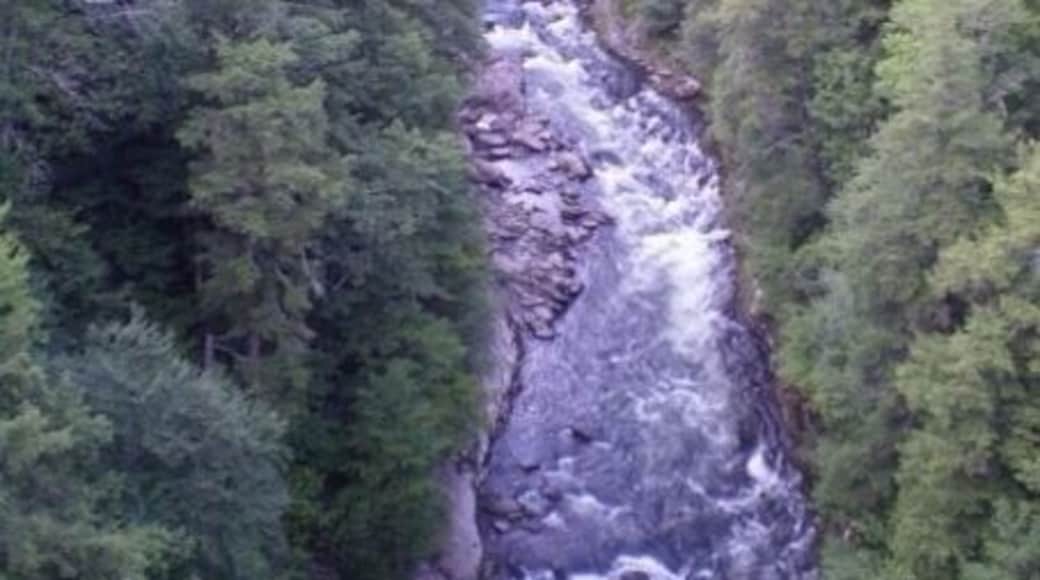 Queechee Gorge, July 2009