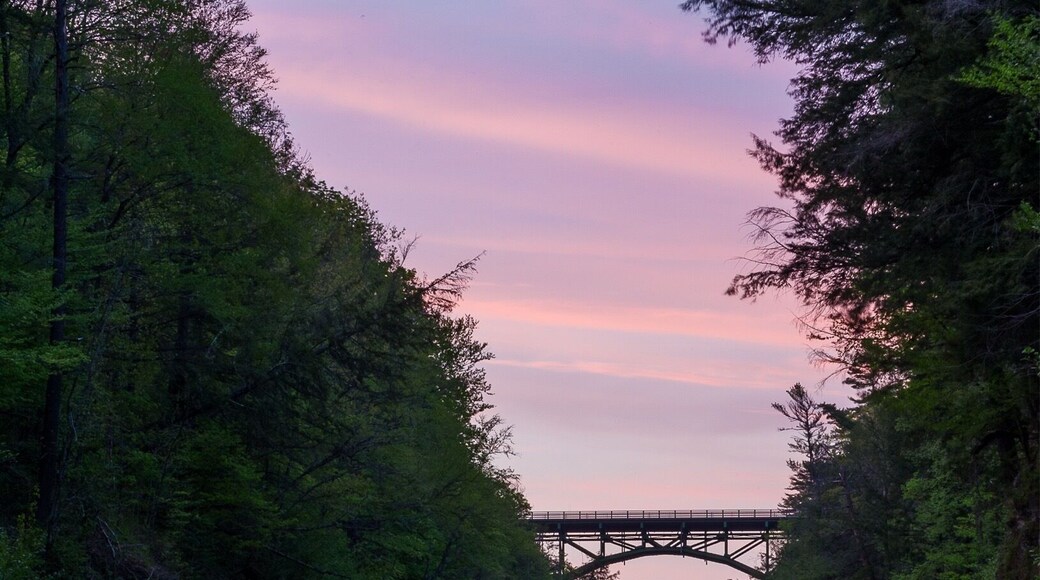 Park at the Queeche gift shop and hike the 0.4 mile trail down to this stunning view of the gorge! Very easy hike and such a gorgeous view.