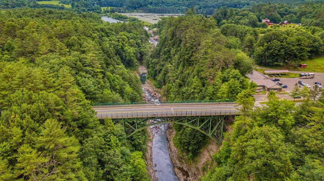 Drone shot of the route 4 bridge over Quechee Gorge. Ps I am standing on the bridge 😁