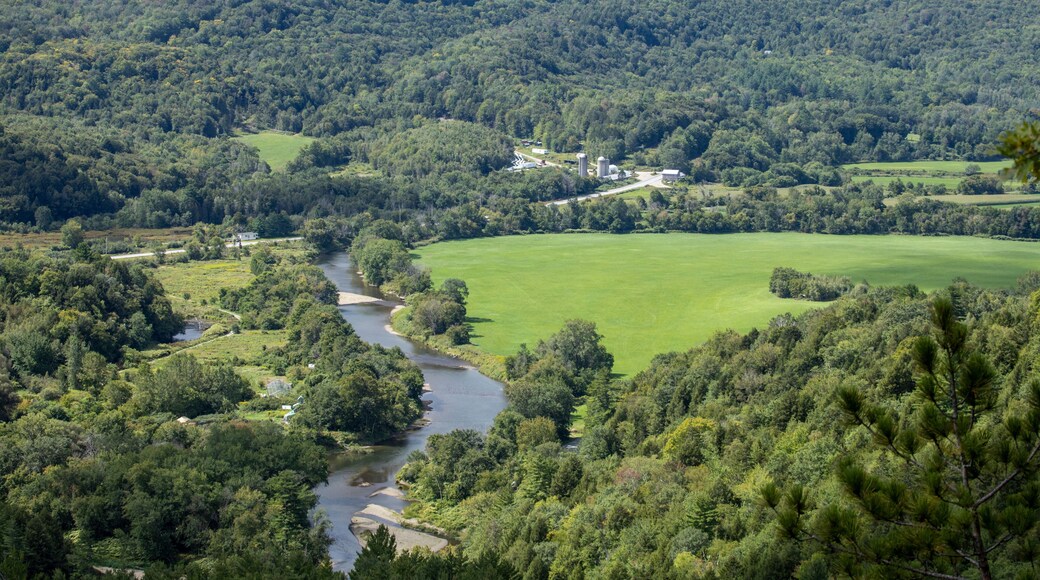 قرية جانسون