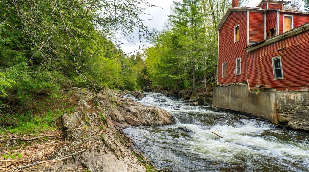 قرية جانسون