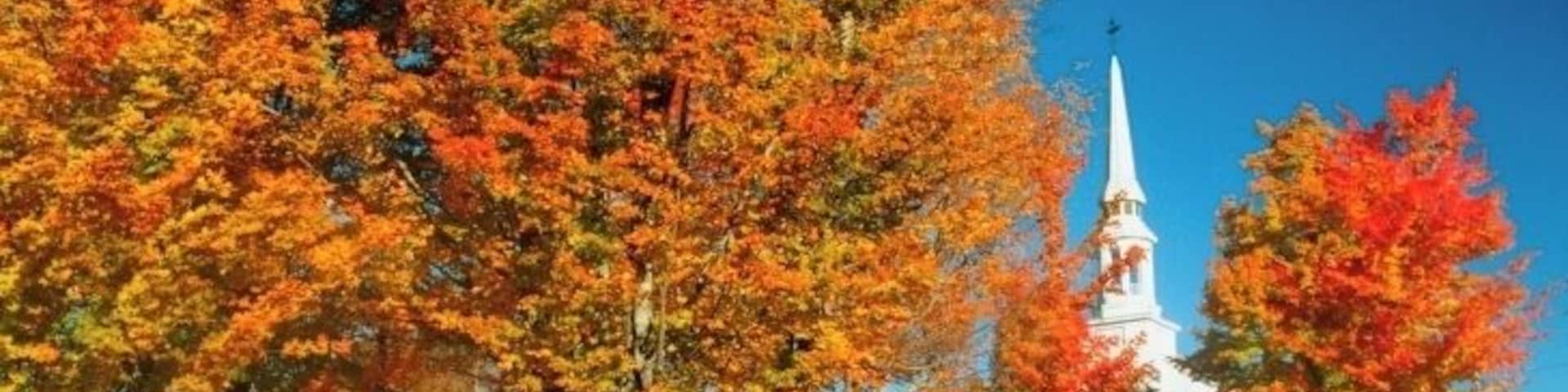 Trees in front of a church, Lunenberg, Vermont, USA