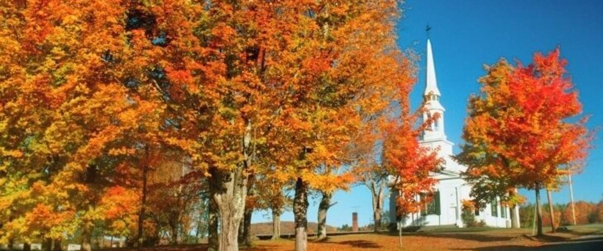 A church with a white steeple surrounded by autumn-colored trees.