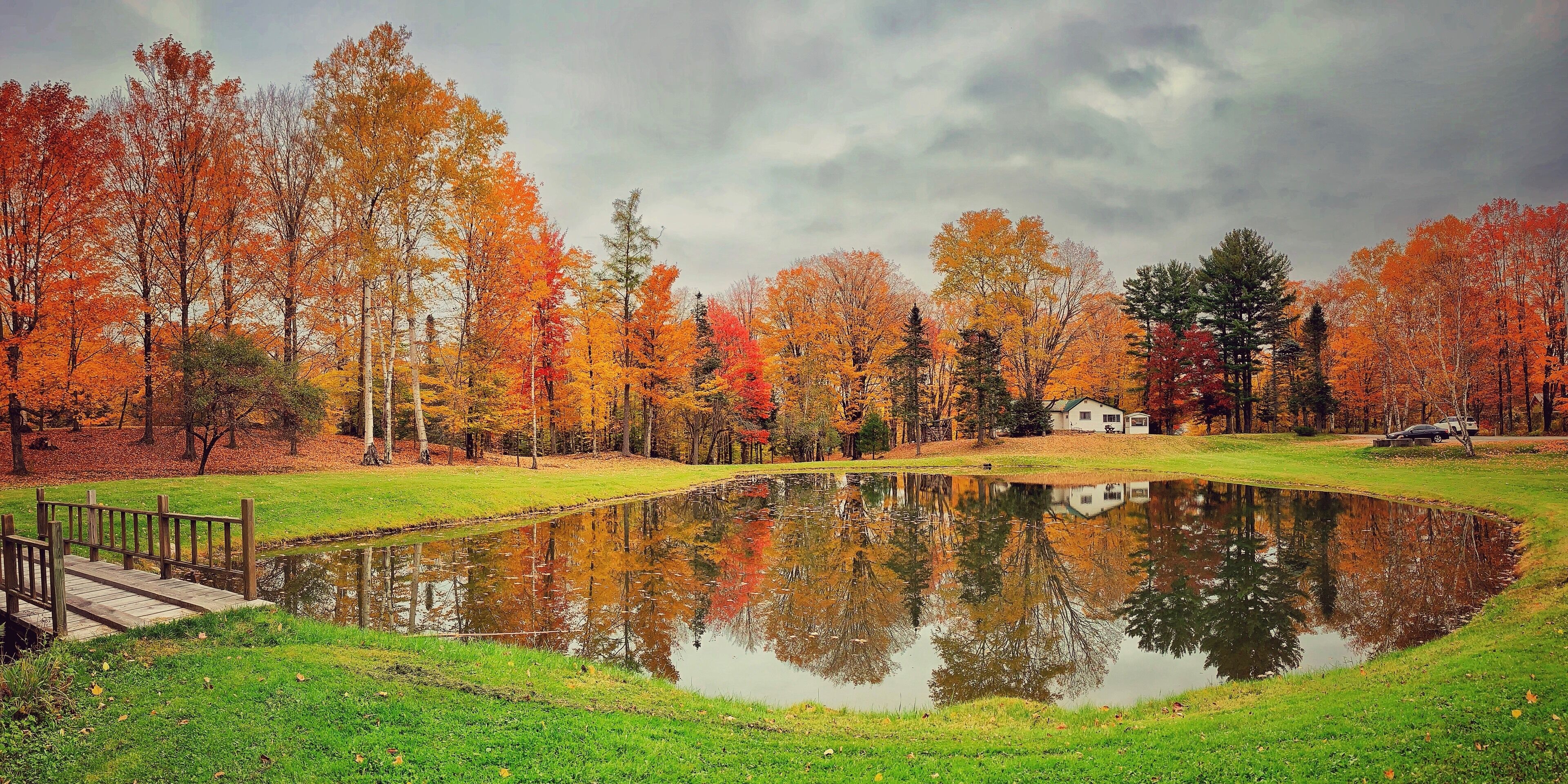 #autumn #fallfoliage #nature #leafpeeping