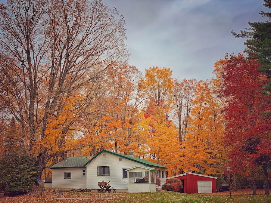 #autumn #fallfoliage #nature #leafpeeping