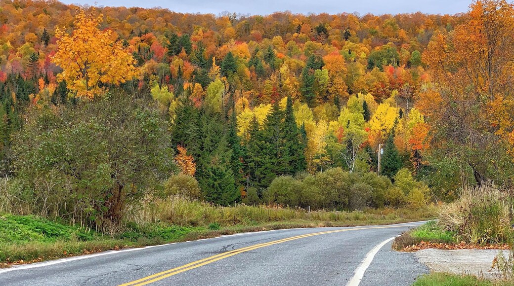 Even when not on a hiking trial, the drive ways were surrounded with beautiful fall colors
#autumn #fallfoliage #nature #leafpeeping