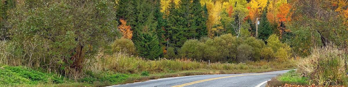 Even when not on a hiking trial, the drive ways were surrounded with beautiful fall colors
#autumn #fallfoliage #nature #leafpeeping