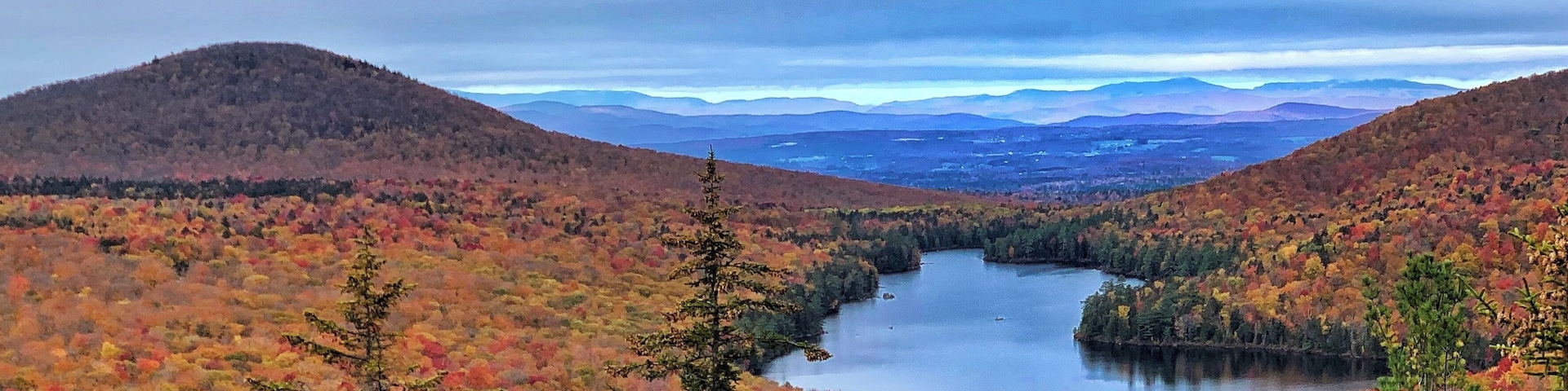#autumn #fallfoliage #nature #leafpeeping