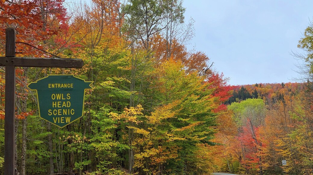 A very nice place to hike up and overview the beauty of #fallfoliage
#autumn #nature #leafpeeping