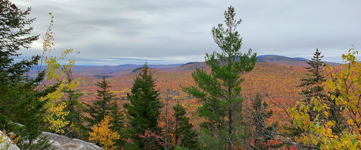 A mountainous landscape with autumn foliage.