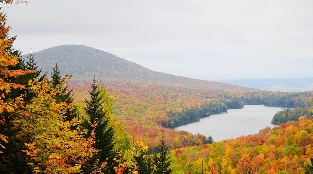 Owlshead Mt. Trail looking towards Kettle Pond. Perhaps a peak day for foliage. Oct. 9th, 2018.