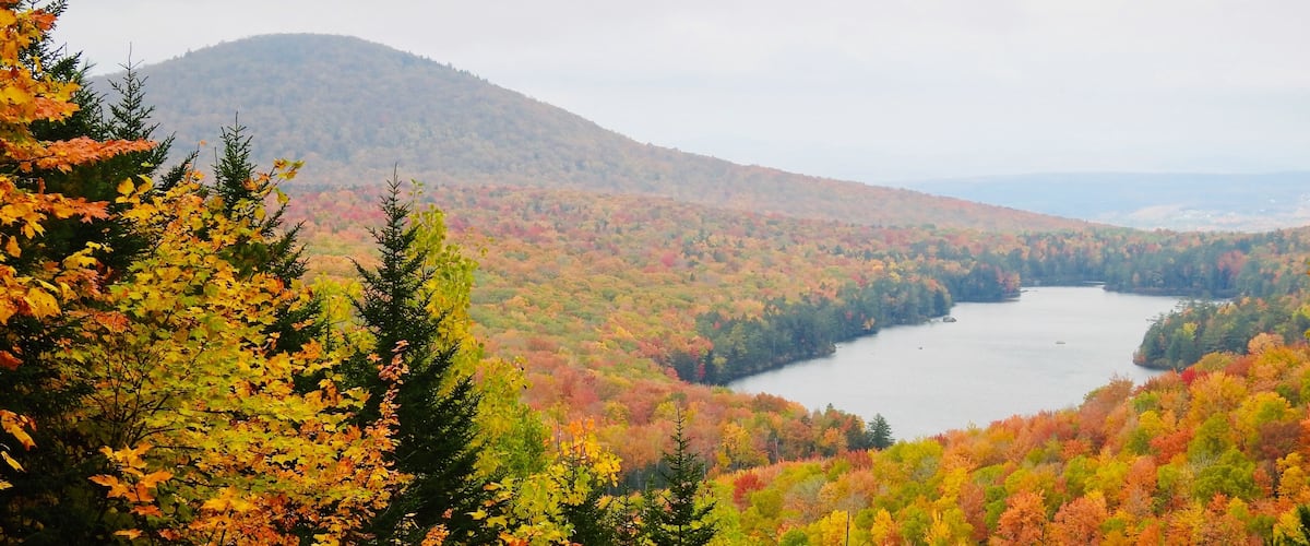 Owlshead Mt. Trail looking towards Kettle Pond. Perhaps a peak day for foliage. Oct. 9th, 2018.