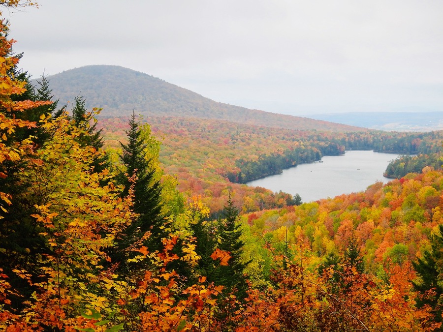 Owlshead Mt. Trail looking towards Kettle Pond. Perhaps a peak day for foliage. Oct. 9th, 2018.