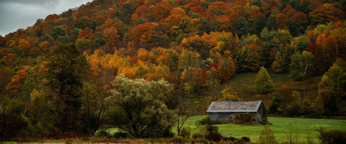 A rural landscape with a barn on a hill, surrounded by autumn-colored trees.