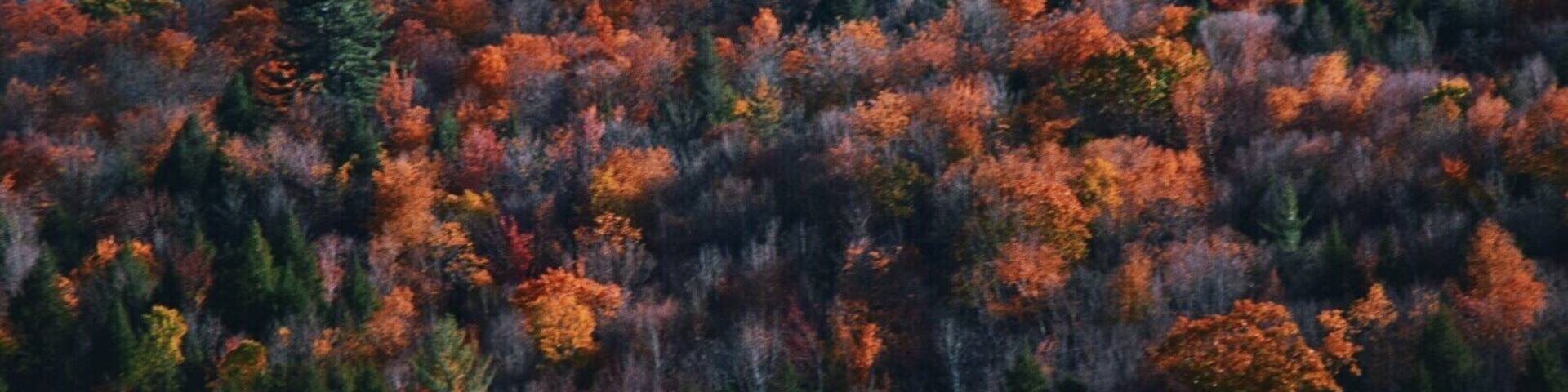 I found Autumn in Vermont #autumn #pnw #fall #roadtrip #travel #adventure #colorful #nationalparks #vermont