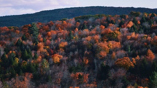 I found Autumn in Vermont #autumn #pnw #fall #roadtrip #travel #adventure #colorful #nationalparks #vermont