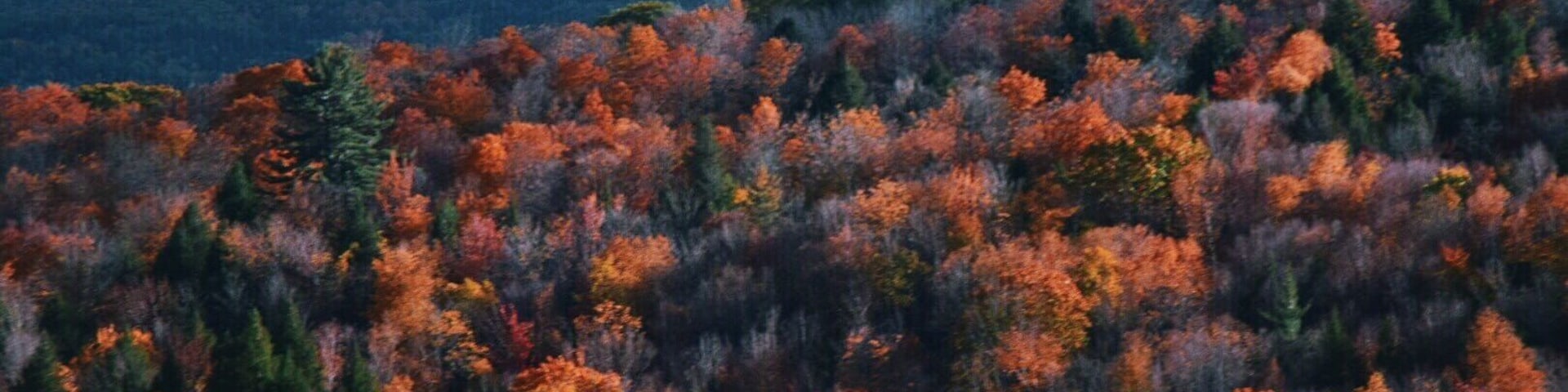 I found Autumn in Vermont #autumn #pnw #fall #roadtrip #travel #adventure #colorful #nationalparks #vermont
