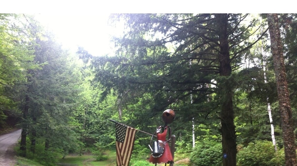 On the way to the top of Johnson Hill Road