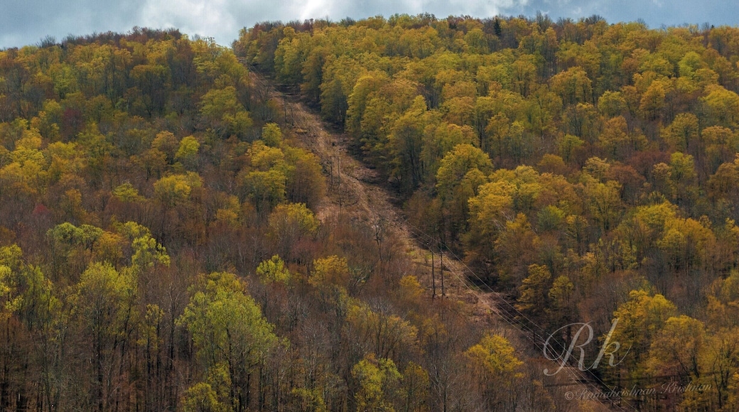 Photo Art @Harriman Reservoir