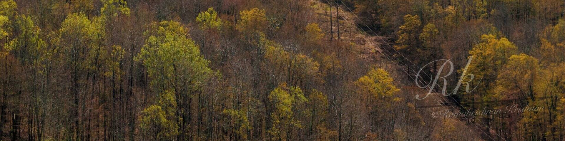 Photo Art @Harriman Reservoir
