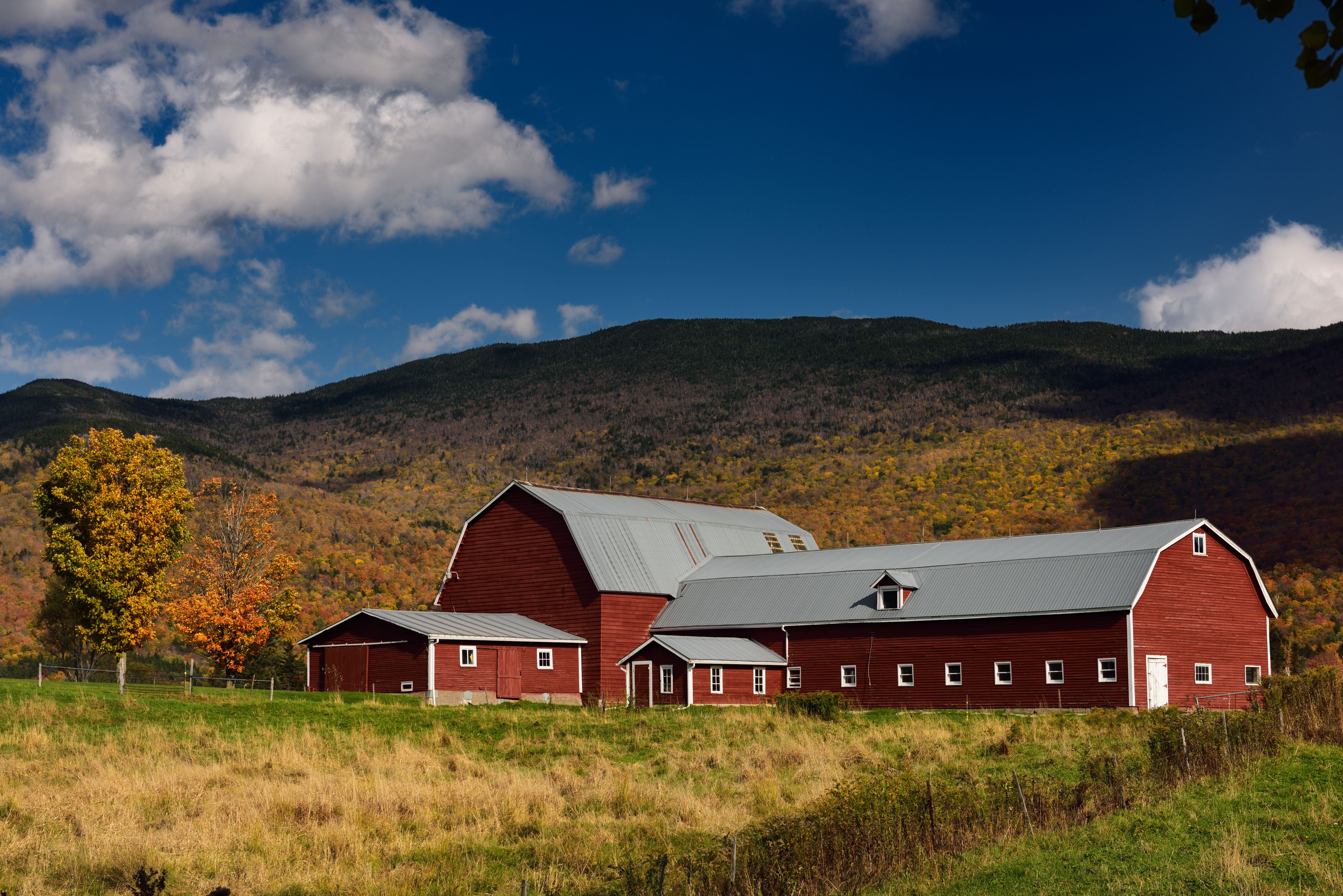 A red barn in a field with a mountain in the background.